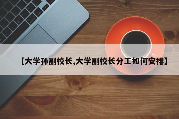 【大学孙副校长,大学副校长分工如何安排】