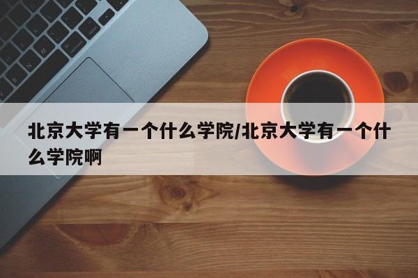北京大学有一个什么学院/北京大学有一个什么学院啊