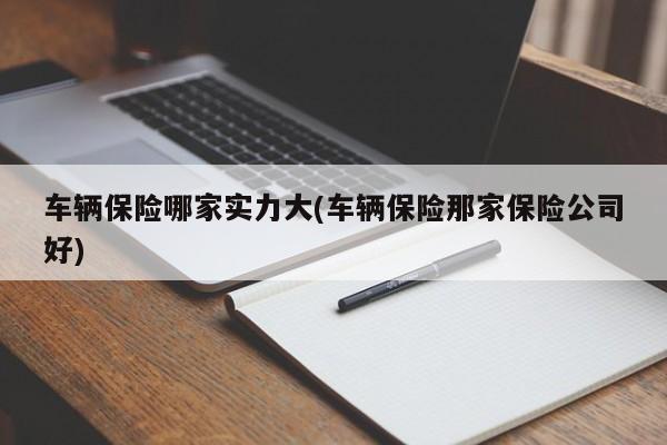 车辆保险哪家实力大(车辆保险那家保险公司好)