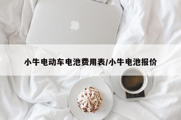 小牛电动车电池费用表/小牛电池报价