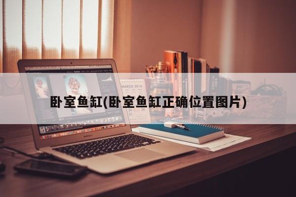 卧室鱼缸(卧室鱼缸正确位置图片)