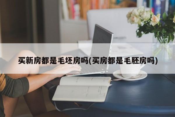 买新房都是毛坯房吗(买房都是毛胚房吗)