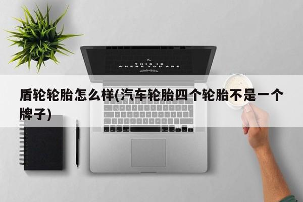 盾轮轮胎怎么样(汽车轮胎四个轮胎不是一个牌子)