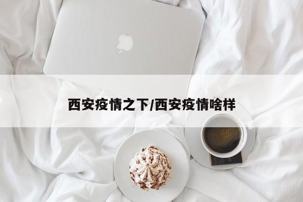 西安疫情之下/西安疫情啥样