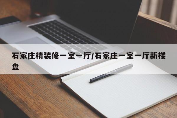 石家庄精装修一室一厅/石家庄一室一厅新楼盘