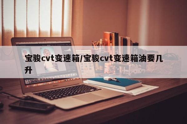 宝骏cvt变速箱/宝骏cvt变速箱油要几升