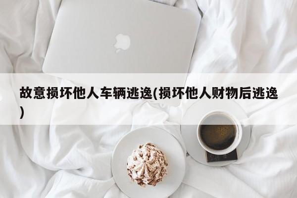 故意损坏他人车辆逃逸(损坏他人财物后逃逸)