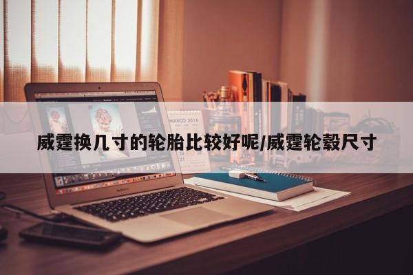威霆换几寸的轮胎比较好呢/威霆轮毂尺寸