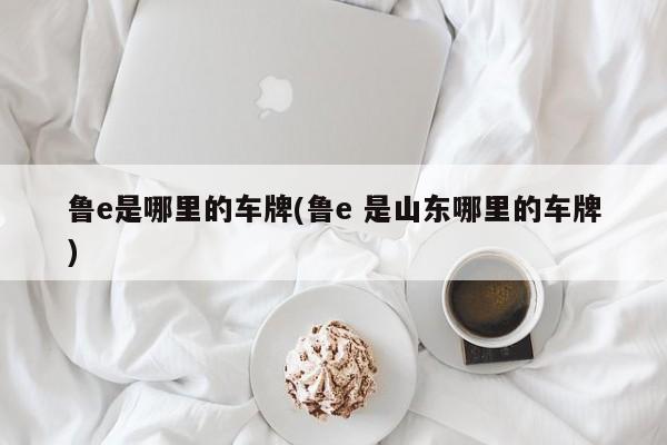 鲁e是哪里的车牌(鲁e 是山东哪里的车牌)