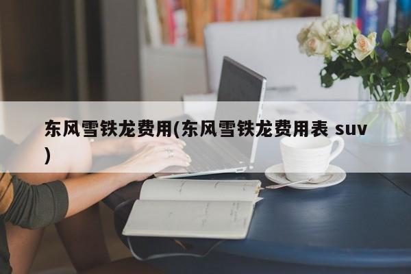 东风雪铁龙费用(东风雪铁龙费用表 suv)
