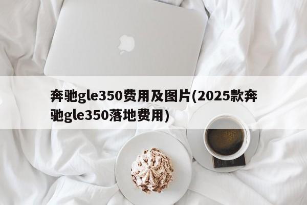奔驰gle350费用及图片(2025款奔驰gle350落地费用)