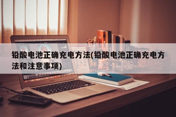 铅酸电池正确充电方法(铅酸电池正确充电方法和注意事项)