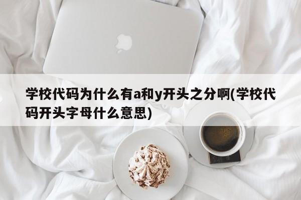 学校代码为什么有a和y开头之分啊(学校代码开头字母什么意思)