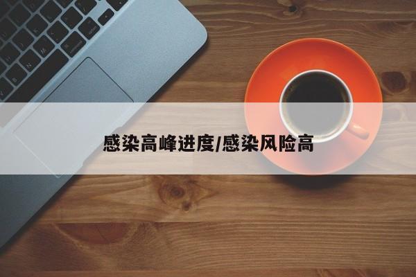 感染高峰进度/感染风险高
